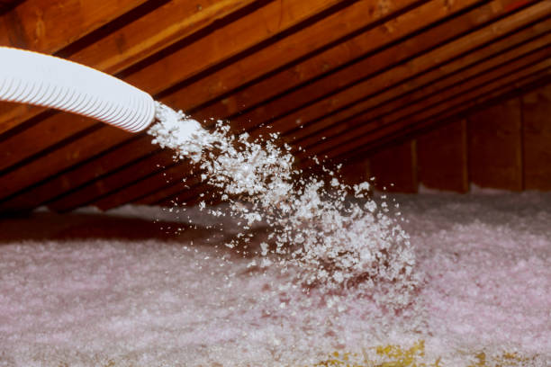 Best Insulation Installation Services in Wautoma, WI